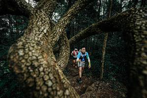 BIB: 
                            <button type="button" onclick="openModal(25700252)" class="btn btn-primary btn-sm float-right btn-popup" data-toggle="modal" data-target=".modal-high-quality">
                        <i class="fas fa-shopping-cart"></i> Add to Cart
                    </button>
                                            <button type="button" onclick="isThisMe(25700252, true)" class="btn btn-success btn-sm float-right btn-popup btn-isme hidden" data-toggle="tooltip" data-placement="bottom" title="นี่คือรูปของคุณใช่ไหม คลิกที่นี่เพื่อเอาเข้าอัลบั้ม">
                        <i class="fas fa-plus"></i> Add to album
                    </button>
                    <button type="button" onclick="isThisMe(25700252, false)" class="btn btn-warning btn-sm float-right btn-popup btn-isnotme hidden">
                        <i class="fas fa-ban"></i> Remove from album
                    </button>